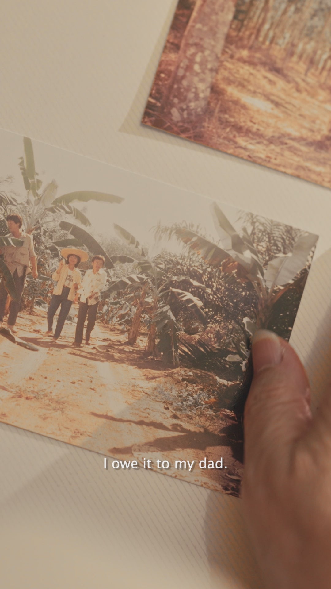 Ocumax® Botanical Beverage Mix 20's